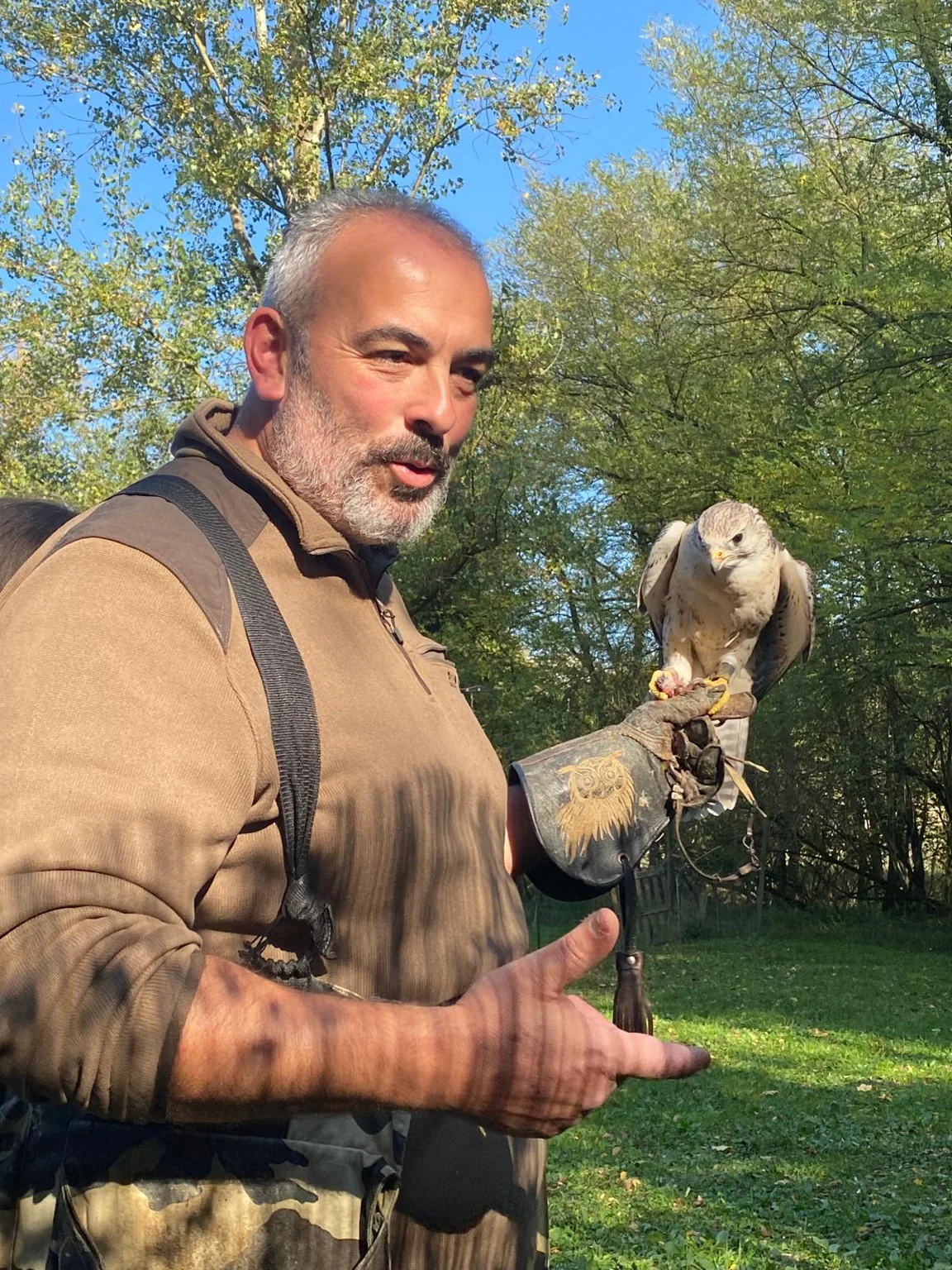 Falconiere con un rapace sul guanto all'aperto