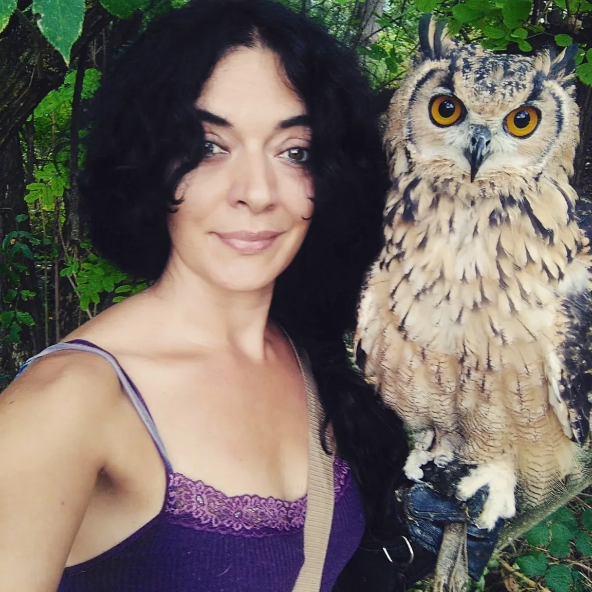 Incontro ravvicinato con un gufo sul guanto, tra il verde